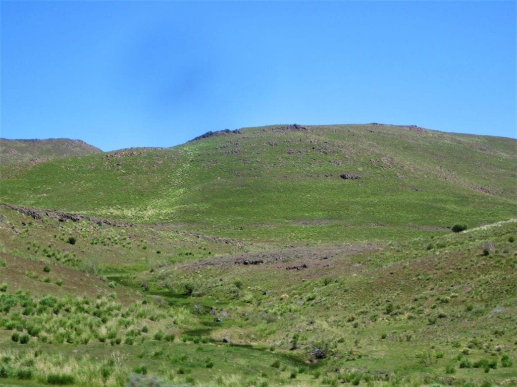 Large view of 80.00 Treed Acres in Northeast Nevada near Carlin & Elko with Seasonal Stream & Tons of Wildlife Photo 1