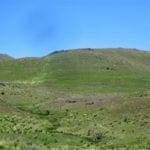 Thumbnail of 80.00 Treed Acres in Northeast Nevada near Carlin & Elko with Seasonal Stream & Tons of Wildlife Photo 1