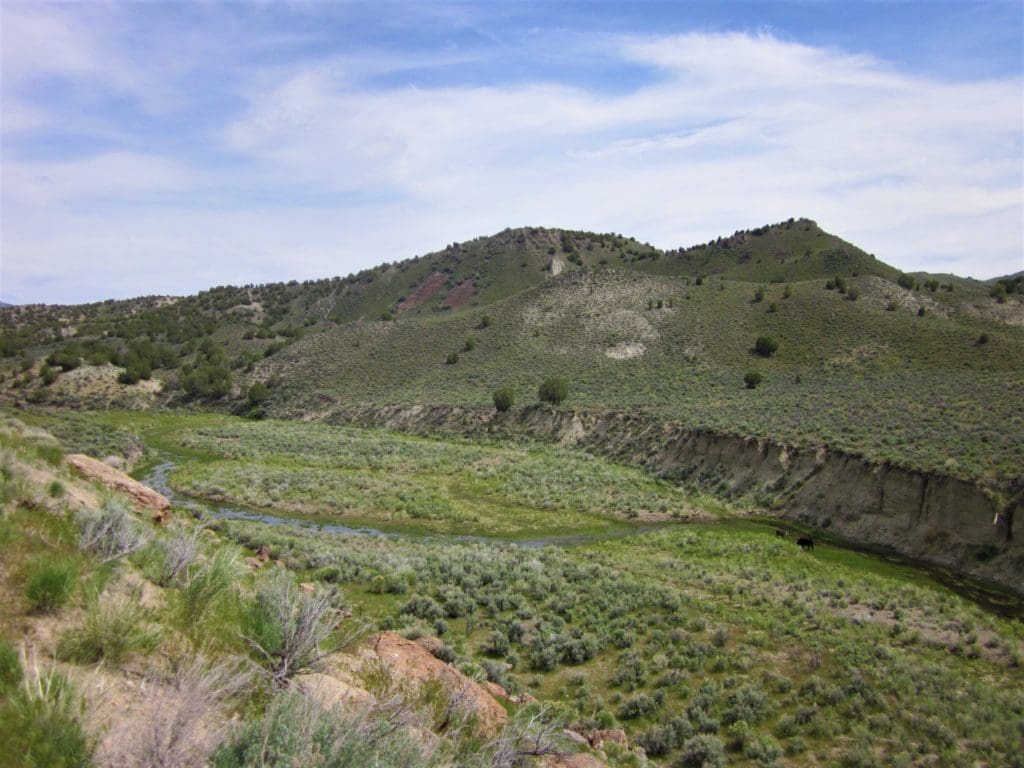 Large view of WYOMING MINING DISTRICT, SUR 37A PATENT NO 12937, “MARDIS MINE”/DIAMOND JIM MINE, Rosebud Mtn 8167 Ft Inside Humboldt Nat. Forest. Photo 30