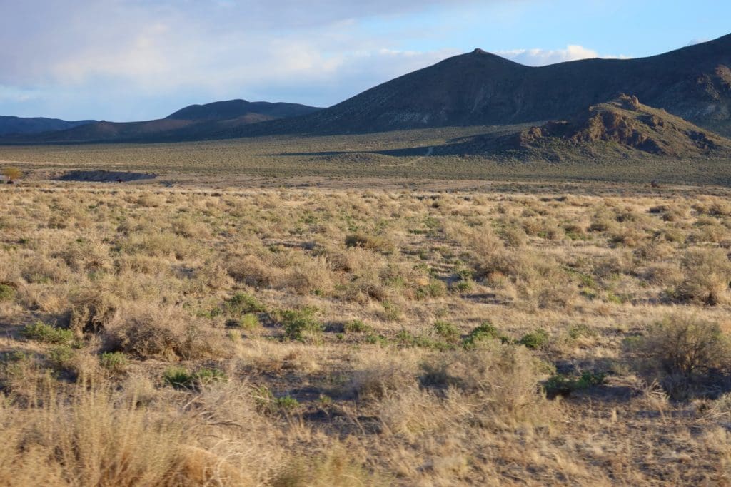 Large view of 5.00 ACRES IN CHURCHILL CO, NEVADA AT MIDDLEGATE JUNCTION 361 HIGHWAY 50 FRONTAGE (AUSTIN HIWAY) WALK TO BAR/RESTAURANT Photo 8