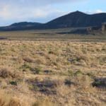 Thumbnail of 5.00 ACRES IN CHURCHILL CO, NEVADA AT MIDDLEGATE JUNCTION 361 HIGHWAY 50 FRONTAGE (AUSTIN HIWAY) WALK TO BAR/RESTAURANT Photo 8