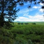 Thumbnail of 1.54 ACRES IN BEAUTIFUL OREGON PINES THAT ADJOINS THE FREMONT-WINEMA NATIONAL FOREST PRIVATE ACCESS TO MIILIONS OF ACRES OF PLAYGROUND Photo 7