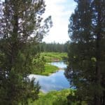 Thumbnail of 1.54 ACRES IN BEAUTIFUL OREGON PINES THAT ADJOINS THE FREMONT-WINEMA NATIONAL FOREST PRIVATE ACCESS TO MIILIONS OF ACRES OF PLAYGROUND Photo 6