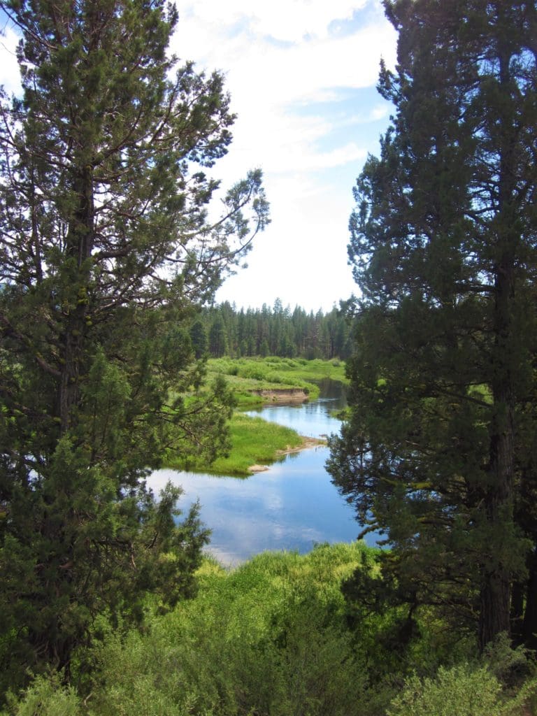 Large view of 1.54 ACRES IN BEAUTIFUL OREGON PINES THAT ADJOINS THE FREMONT-WINEMA NATIONAL FOREST PRIVATE ACCESS TO MIILIONS OF ACRES OF PLAYGROUND Photo 6