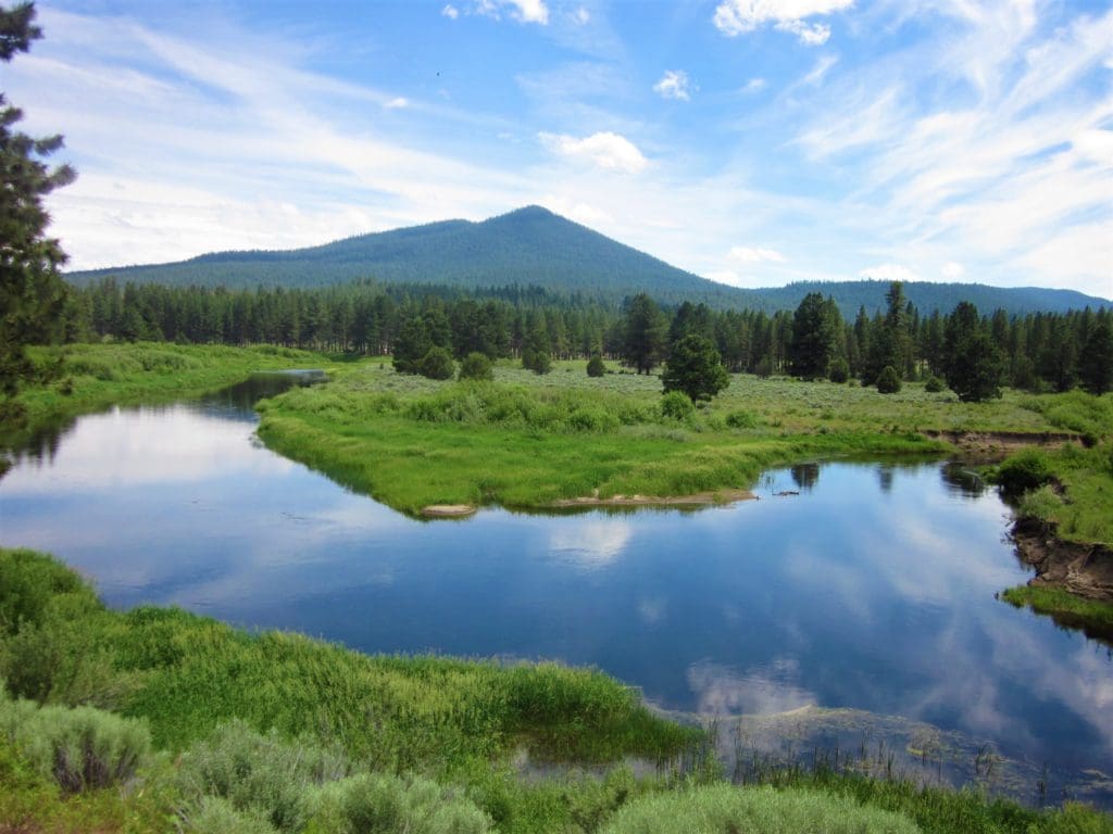 Large view of 1.54 ACRES IN BEAUTIFUL OREGON PINES THAT ADJOINS THE FREMONT-WINEMA NATIONAL FOREST PRIVATE ACCESS TO MIILIONS OF ACRES OF PLAYGROUND Photo 5