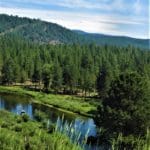 Thumbnail of 1.54 ACRES IN BEAUTIFUL OREGON PINES THAT ADJOINS THE FREMONT-WINEMA NATIONAL FOREST PRIVATE ACCESS TO MIILIONS OF ACRES OF PLAYGROUND Photo 10