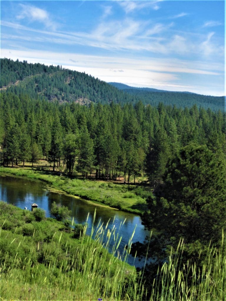 Large view of 1.54 ACRES IN BEAUTIFUL OREGON PINES THAT ADJOINS THE FREMONT-WINEMA NATIONAL FOREST PRIVATE ACCESS TO MIILIONS OF ACRES OF PLAYGROUND Photo 10