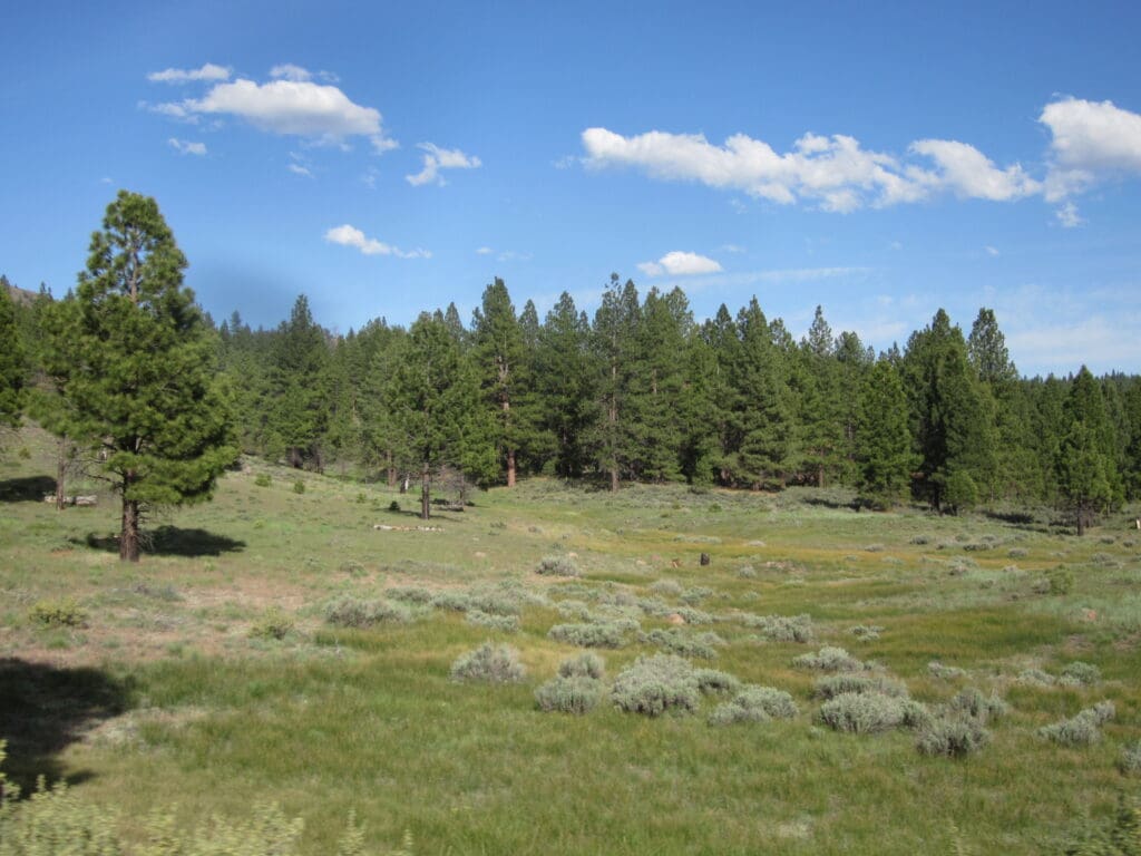 Large view of 4.79 ACRES IN KLAMATH COUNTY, OREGON ~ GORGEOUS MINI RANCH IN THE MOUNTAINS WITH TREES, VIEWS AND WIDE OPEN SPACES Photo 8