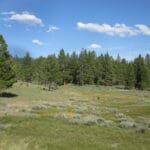 Thumbnail of 4.79 ACRES IN KLAMATH COUNTY, OREGON ~ GORGEOUS MINI RANCH IN THE MOUNTAINS WITH TREES, VIEWS AND WIDE OPEN SPACES Photo 8
