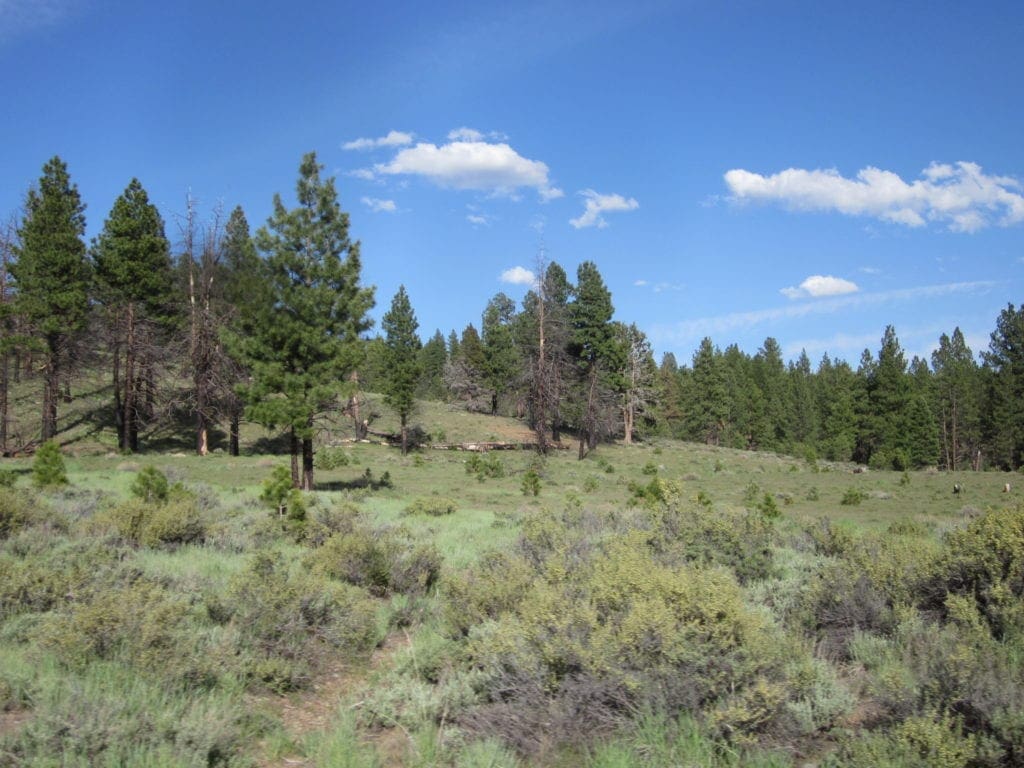Large view of Beautiful 10.00 Acre Oregon Ranch Land with Old Growth Timber near Klamath Falls & California Photo 2