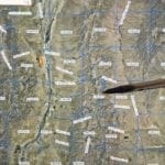 Thumbnail of `10.33 ACRES~Patented Mining Claim “Buckhorn” SUR 38S, Silver Canyon Mining District 11,000 feet Elevation in SCHELL CREEK RANGE Photo 5