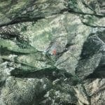 Thumbnail of `10.33 ACRES~Patented Mining Claim “Buckhorn” SUR 38S, Silver Canyon Mining District 11,000 feet Elevation in SCHELL CREEK RANGE Photo 22