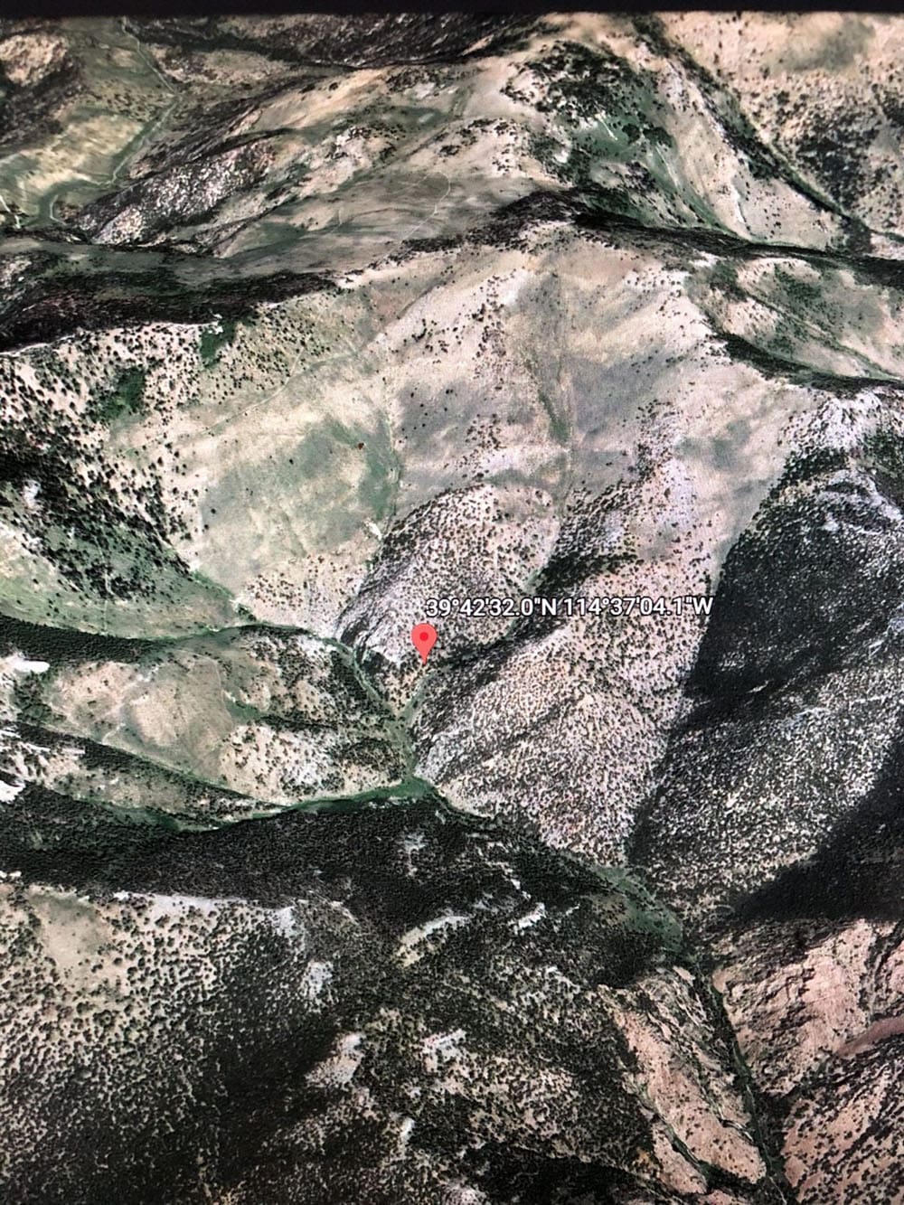 `10.33 ACRES~Patented Mining Claim “Buckhorn” SUR 38S, Silver Canyon Mining District 11,000 feet Elevation in SCHELL CREEK RANGE photo 23