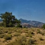 Thumbnail of .86 Acres Nevada Land in White Pine Co, Cherry Creek Townsite Entire Block Of Lots (12) Very Rare! Photo 7