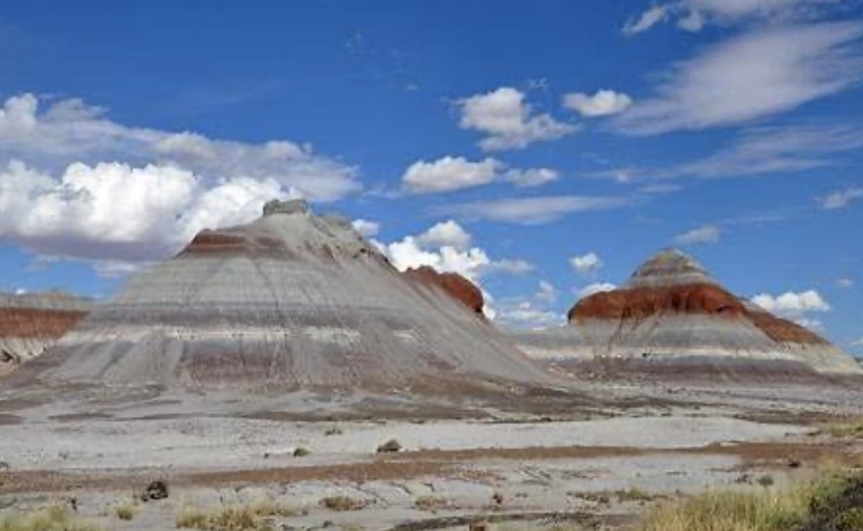 40.00 Acres Adjoining the Petrified Forest National Park ~ Fronts Famous & Historic Route 66 in Sunny Southern Arizona photo 1