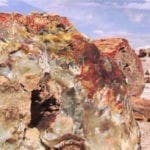 Thumbnail of 40.00 Acres Adjoining the Petrified Forest National Park ~ Fronts Famous & Historic Route 66 in Sunny Southern Arizona Photo 3