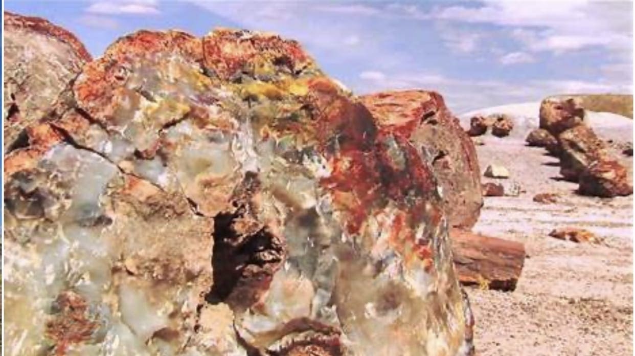 40.00 Acres Adjoining the Petrified Forest National Park ~ Fronts Famous & Historic Route 66 in Sunny Southern Arizona photo 3