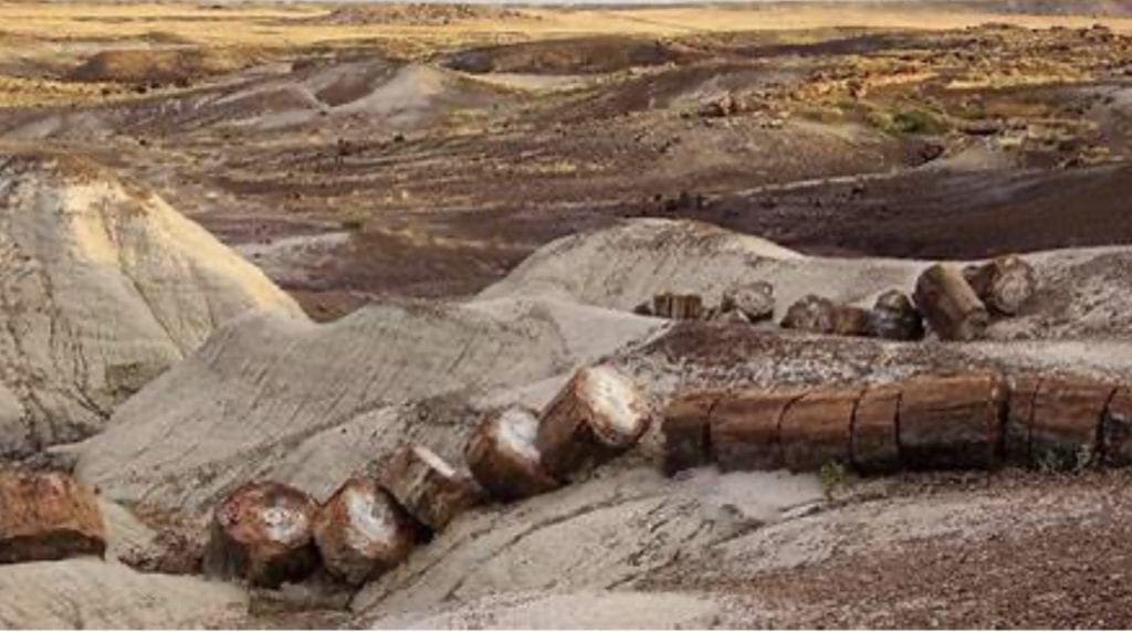 Large view of 40.00 Acres Adjoining the Petrified Forest National Park ~ Fronts Famous & Historic Route 66 in Sunny Southern Arizona Photo 4