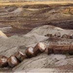 Thumbnail of 40.00 Acres Adjoining the Petrified Forest National Park ~ Fronts Famous & Historic Route 66 in Sunny Southern Arizona Photo 4