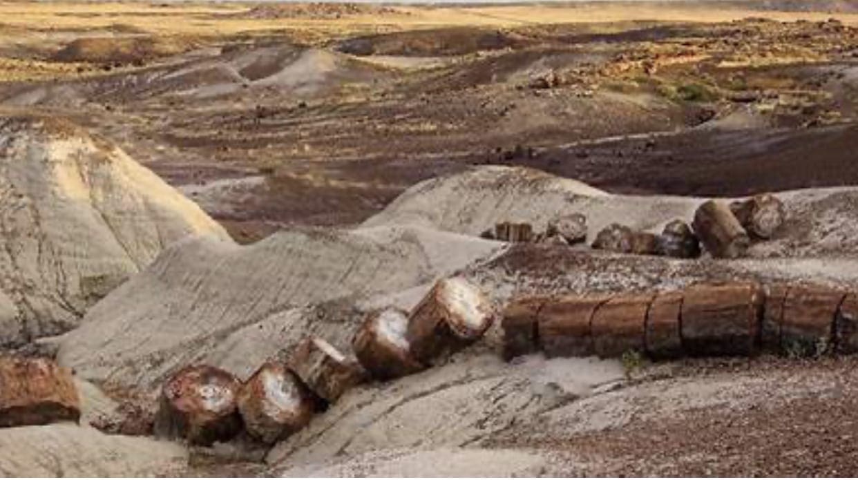 40.00 Acres Adjoining the Petrified Forest National Park ~ Fronts Famous & Historic Route 66 in Sunny Southern Arizona photo 4