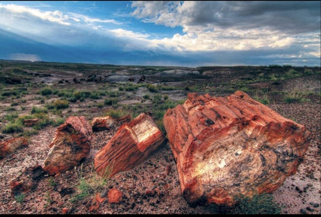 Large view of 40.00 Acres Adjoining the Petrified Forest National Park ~ Fronts Famous & Historic Route 66 in Sunny Southern Arizona Photo 5