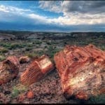 Thumbnail of 40.00 Acres Adjoining the Petrified Forest National Park ~ Fronts Famous & Historic Route 66 in Sunny Southern Arizona Photo 5