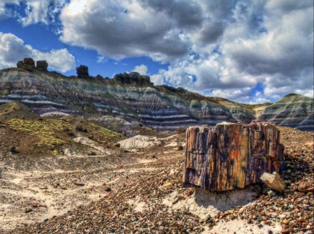Large view of 40.00 Acres Adjoining the Petrified Forest National Park ~ Fronts Famous & Historic Route 66 in Sunny Southern Arizona Photo 6