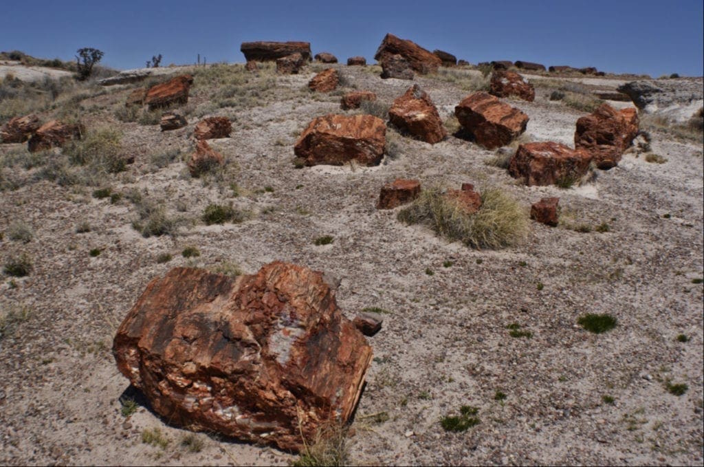 Large view of 40.00 Acres Adjoining the Petrified Forest National Park ~ Fronts Famous & Historic Route 66 in Sunny Southern Arizona Photo 7