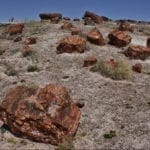 Thumbnail of 40.00 Acres Adjoining the Petrified Forest National Park ~ Fronts Famous & Historic Route 66 in Sunny Southern Arizona Photo 7