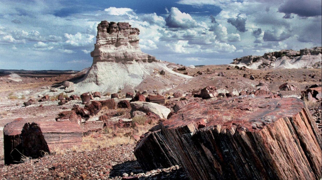 40.00 Acres Adjoining the Petrified Forest National Park ~ Fronts Famous & Historic Route 66 in Sunny Southern Arizona photo 8