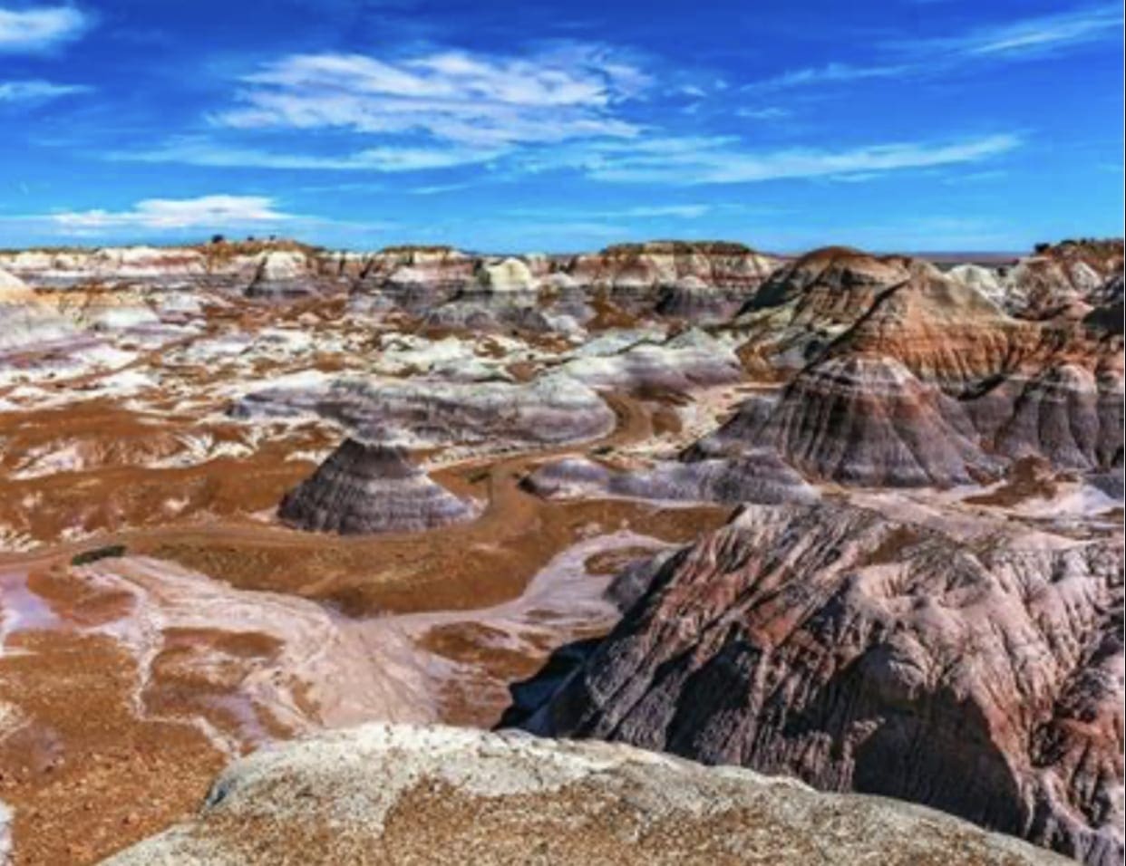 40.00 Acres Adjoining the Petrified Forest National Park ~ Fronts Famous & Historic Route 66 in Sunny Southern Arizona photo 9