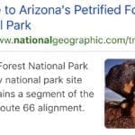 Thumbnail of 40.00 Acres Adjoining the Petrified Forest National Park ~ Fronts Famous & Historic Route 66 in Sunny Southern Arizona Photo 14