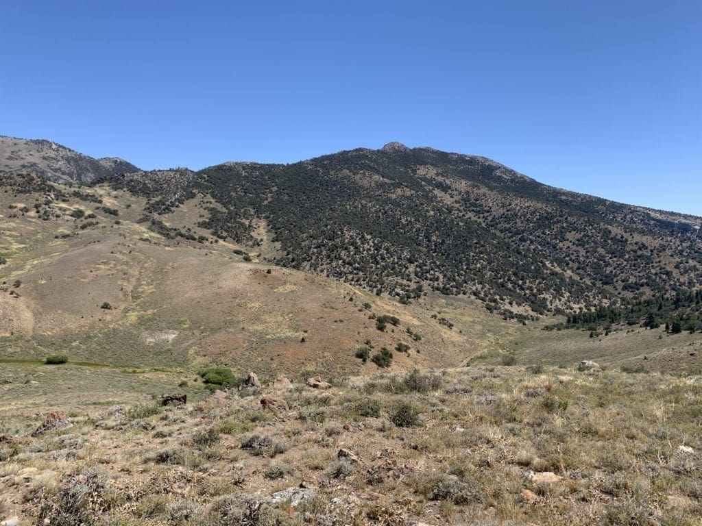 Large view of 20 Acre Patented Mining Claim “Hawkeye” Pat# 39511 in the Mighty Schell Creek Range Eastern Nevada Photo 1