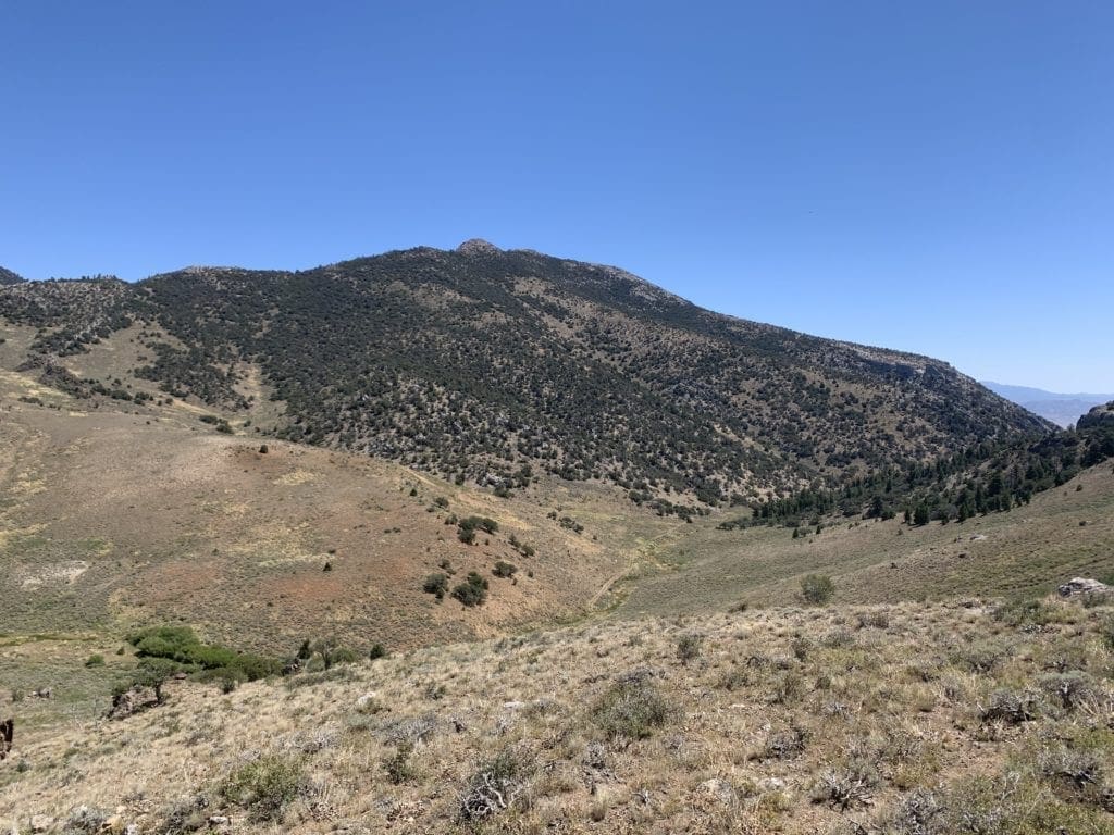 Large view of 20.66 Acre Mining Claim “Eclipse” SUR 2059 ~ Gold & Silver located in Humboldt-Toiyabe National Forest Photo 5