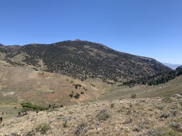 20.66 Acre Mining Claim “Eclipse” SUR 2059 ~ Gold & Silver located in Humboldt-Toiyabe National Forest