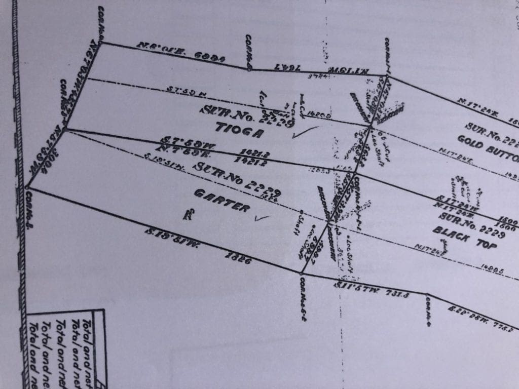 Large view of 19.43 AC~1 Patented Lode MINING Claim SUR #2229 “Garter”, Located in District 6.0, Esmeralda County, Nevada Photo 3