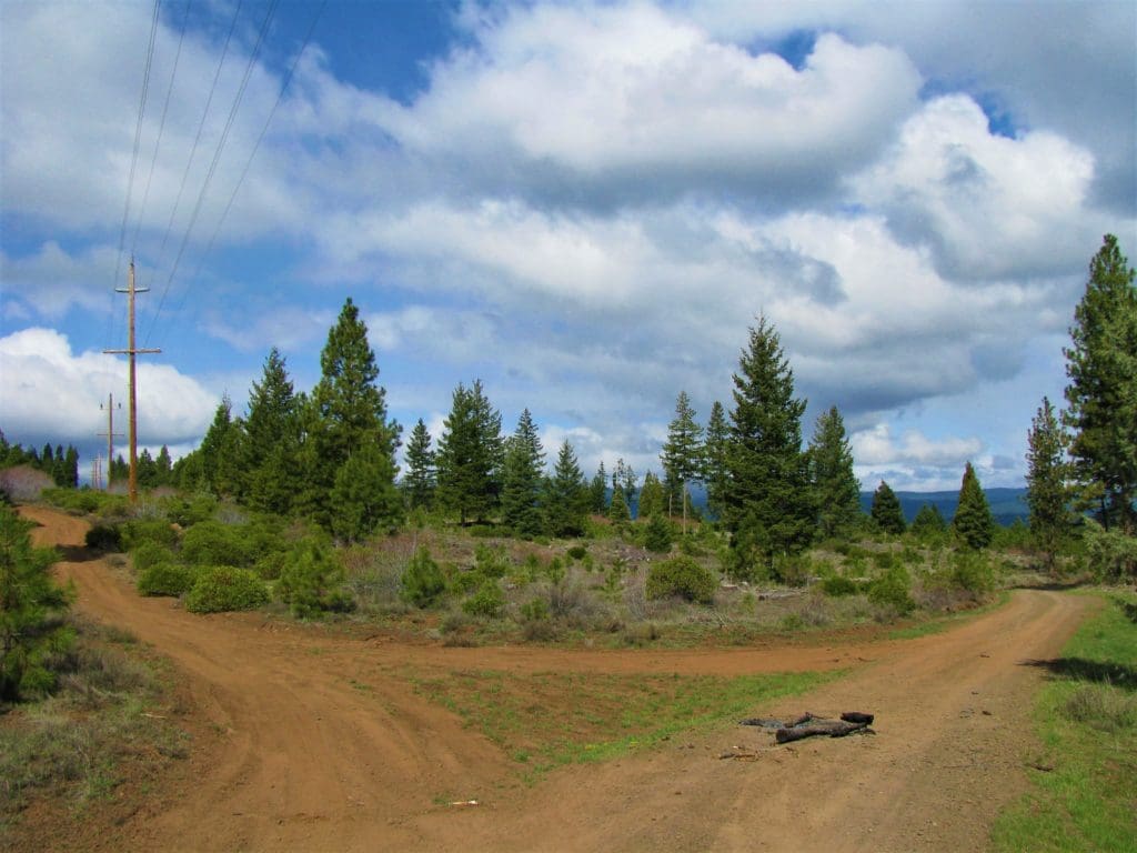 Large view of 1.54 ACRES IN BEAUTIFUL OREGON PINES THAT ADJOINS THE FREMONT-WINEMA NATIONAL FOREST PRIVATE ACCESS TO MIILIONS OF ACRES OF PLAYGROUND Photo 15