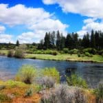 Thumbnail of 1.57 ACRES IN BEAUTIFUL OREGON PINES KLAMATH COUNTY, OREGON ~ GORGEOUS VIEWS & TONS OF WILDLIFE! Photo 4