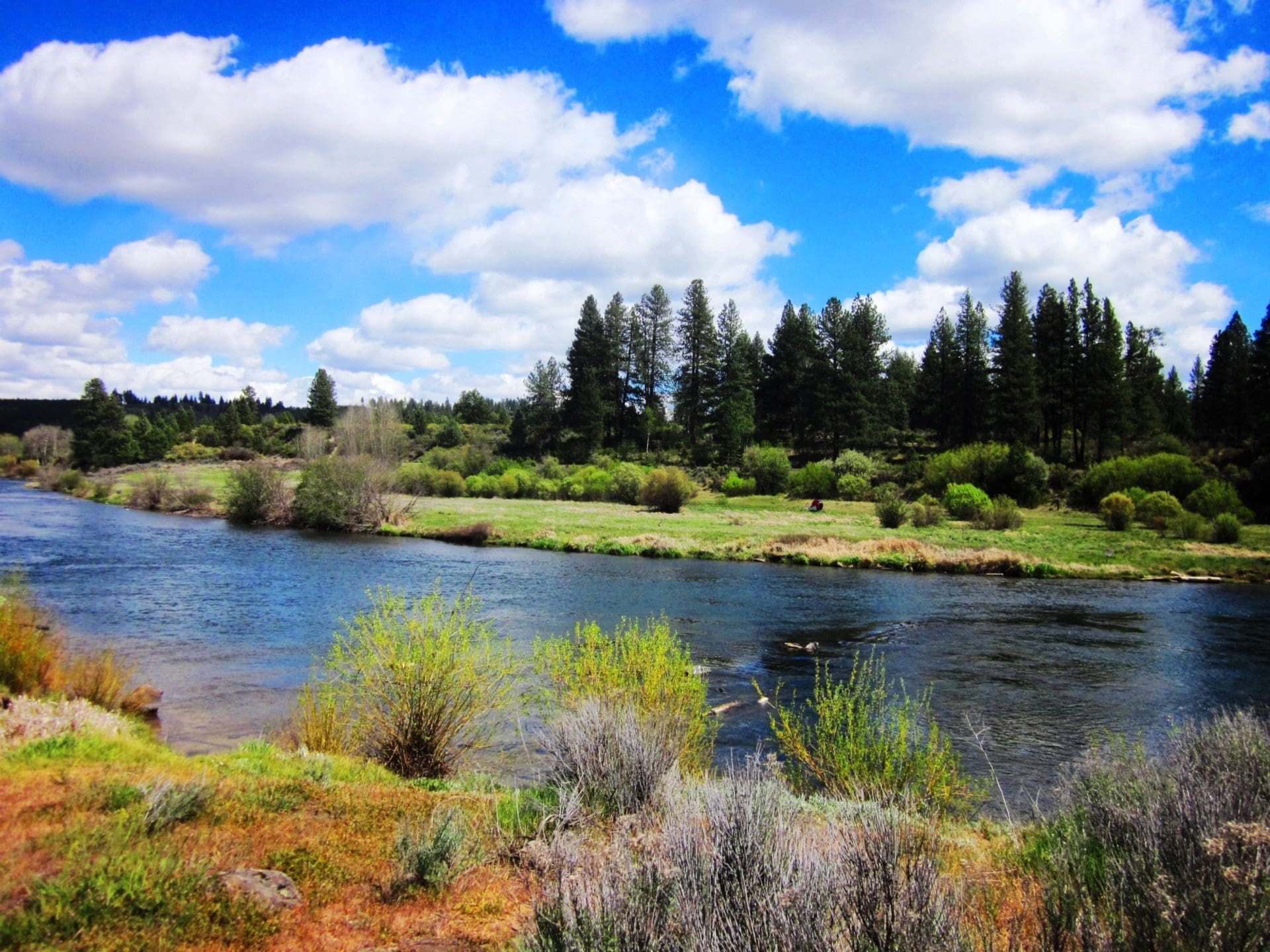 1.57 ACRES IN BEAUTIFUL OREGON PINES KLAMATH COUNTY, OREGON ~ GORGEOUS VIEWS & TONS OF WILDLIFE! photo 4