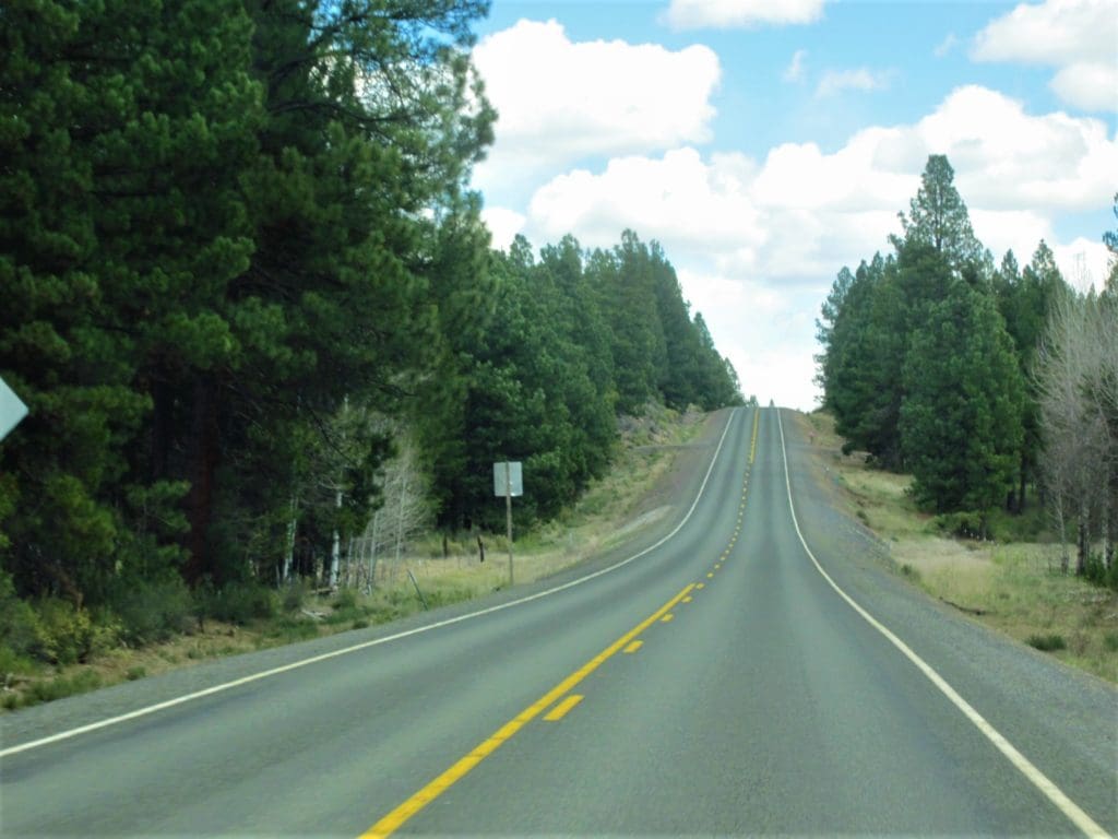 Large view of 1.54 ACRES IN BEAUTIFUL OREGON PINES THAT ADJOINS THE FREMONT-WINEMA NATIONAL FOREST PRIVATE ACCESS TO MIILIONS OF ACRES OF PLAYGROUND Photo 9