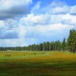 Thumbnail of 4.79 ACRES IN KLAMATH COUNTY, OREGON ~ GORGEOUS MINI RANCH IN THE MOUNTAINS WITH TREES, VIEWS AND WIDE OPEN SPACES Photo 7