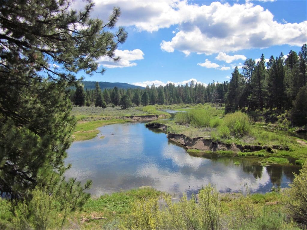 Large view of 1.54 ACRES IN BEAUTIFUL OREGON PINES THAT ADJOINS THE FREMONT-WINEMA NATIONAL FOREST PRIVATE ACCESS TO MIILIONS OF ACRES OF PLAYGROUND Photo 8