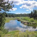 Thumbnail of 1.54 ACRES IN BEAUTIFUL OREGON PINES THAT ADJOINS THE FREMONT-WINEMA NATIONAL FOREST PRIVATE ACCESS TO MIILIONS OF ACRES OF PLAYGROUND Photo 8