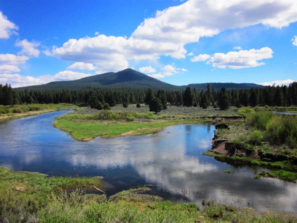 Large view of 1.57 ACRES IN BEAUTIFUL OREGON PINES KLAMATH COUNTY, OREGON ~ GORGEOUS VIEWS & TONS OF WILDLIFE! Photo 6