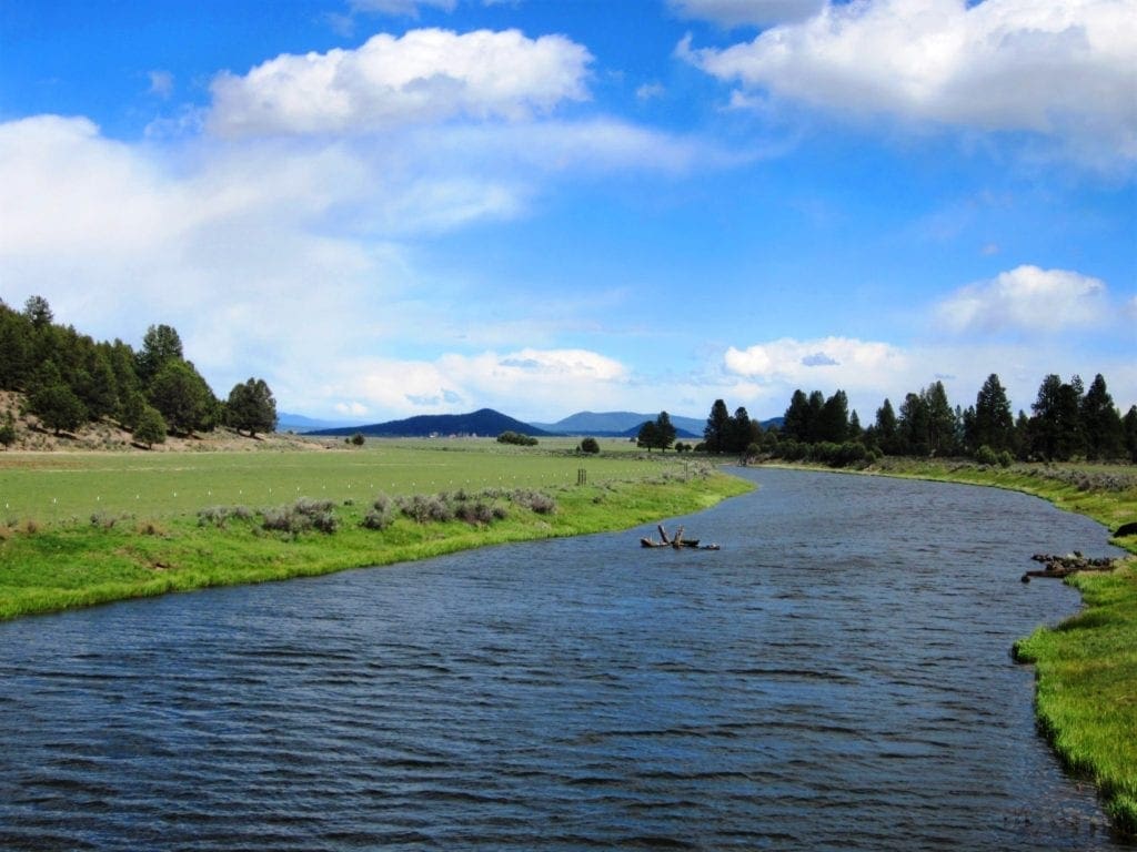 Large view of 5.03 Acres on the Pristine Sprague River Southern Oregon near California Photo 4