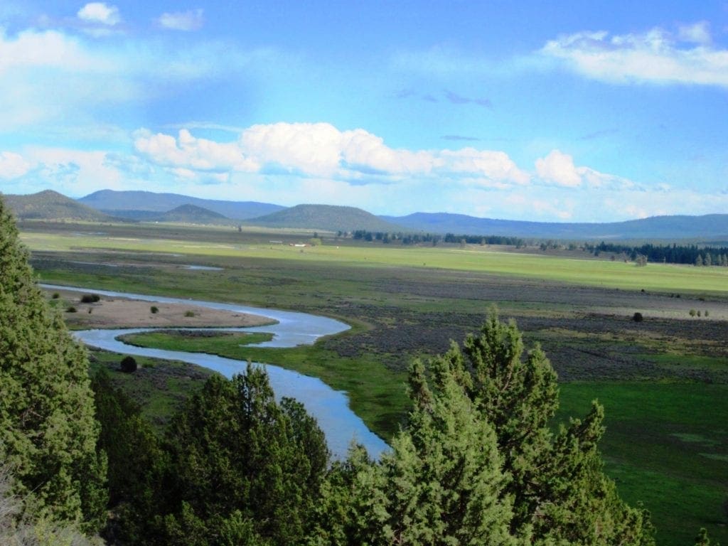 Large view of 5.03 Acres on the Pristine Sprague River Southern Oregon near California Photo 7