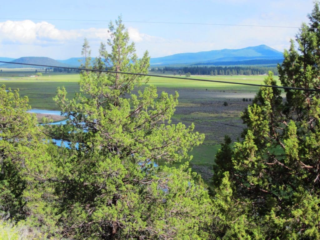 Large view of 2.92 ACRES IN GORGEOUS SOUTHERN OREGON ~ TIMBERED PROPERTY OVERLOOKING THE MIGHTY SPRAGUE RIVER VALLEY. Photo 13