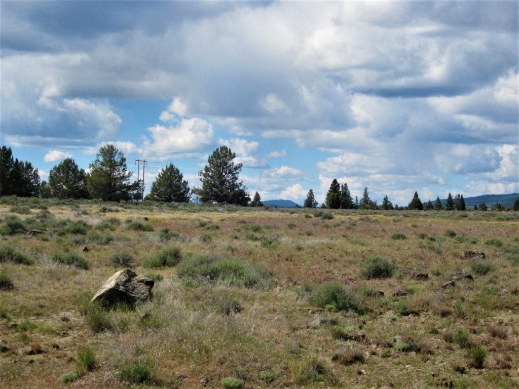 Large view of 1.47 ACRES IN BEAUTIFUL OREGON PINES NEAR CALIFORNIA BORDER ADJOINING LOT AVAILABLE. Photo 2