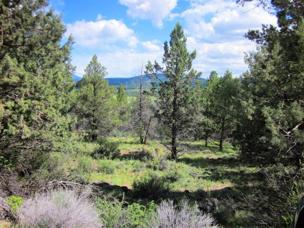 Large view of Beautiful 10.00 Acre Oregon Ranch Land with Old Growth Timber near Klamath Falls & California Photo 1
