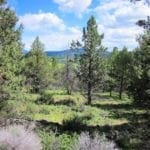 Thumbnail of Beautiful 10.00 Acre Oregon Ranch Land with Old Growth Timber near Klamath Falls & California Photo 1